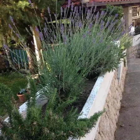 Guest house And With Parking Space - 25978